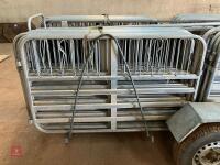 RAPPA 10 SHEEP HANDLING SYSTEM (11) - 23