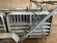 RAPPA 10 SHEEP HANDLING SYSTEM (11) - 24