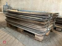 20 X 4' SHEARWELL LAMBING BOARDS (17) - 5