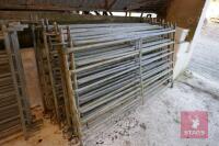 12 6' GALV SHEEP HURDLES - 2