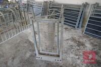 GALV SHEEP RACE SHEDDING GATE - 4