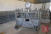 BATEMAN MOBILE LAMB WEIGH CRATE