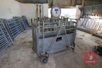 BATEMAN MOBILE LAMB WEIGH CRATE - 2