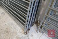 10 X 6' GALVANISED SHEEP HURDLES - 3