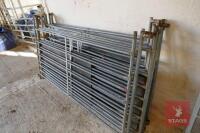 10 6' GALVANISED SHEEP HURDLES - 7