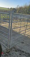 4 GALVANISED 6' ALPACA HURDLES - 5