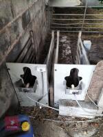 FORSTER TECHNIK AUTOMATIC CALF FEEDER - 5