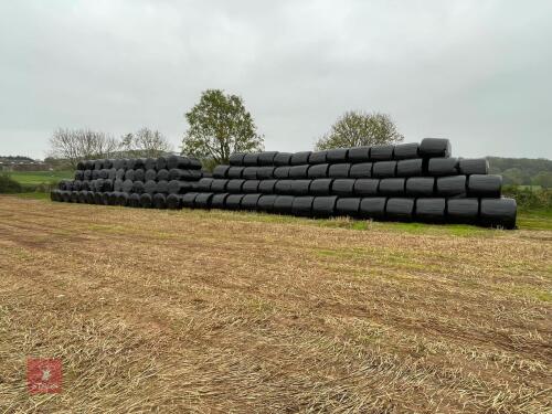 50 BALES OF 2024 OAT WHOLECROP SILAGE