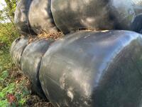 28 BALES OF 2024 SILAGE BIDS PER BALE - 2