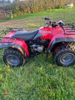 HONDA FOURTRAX TRX 300 4X4 - 6