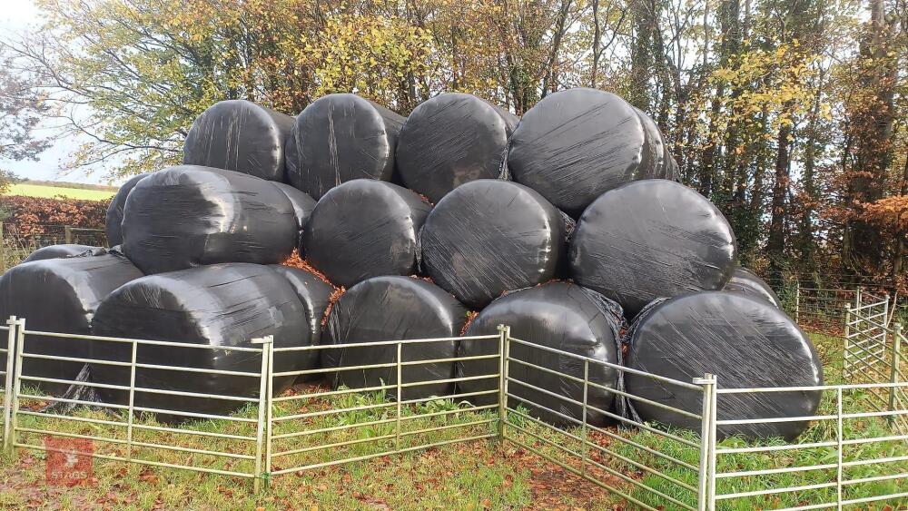 80 BALES OF 2024 SILAGE BIDS PER BALE