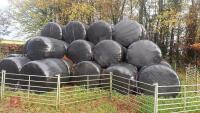 80 BALES OF 2024 SILAGE BIDS PER BALE