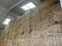 50 QUADRANT BALES OF HAY BIDS PER BALE - 4