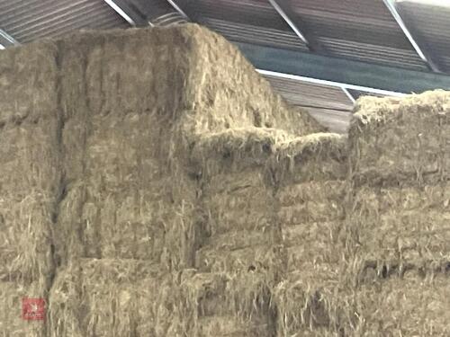 50 QUADRANT BALES OF HAY BIDS PER BALE