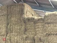 50 QUADRANT BALES OF HAY BIDS PER BALE