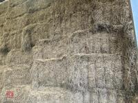 50 QUADRANT BALES OF HAY BIDS PER BALE - 4