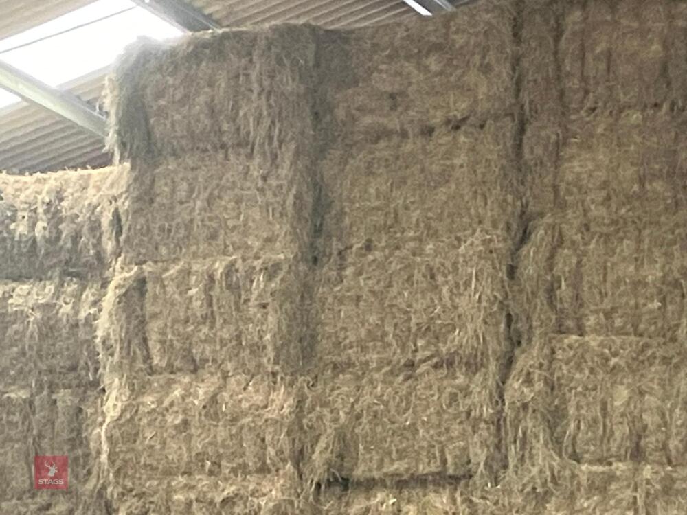 50 QUADRANT BALES OF HAY BIDS PER BALE