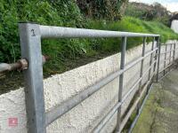 14' HD CATTLE YARD GATE (1) - 8