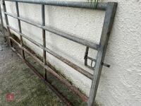 9' 6'' HD CATTLE YARD GATE (3) - 4