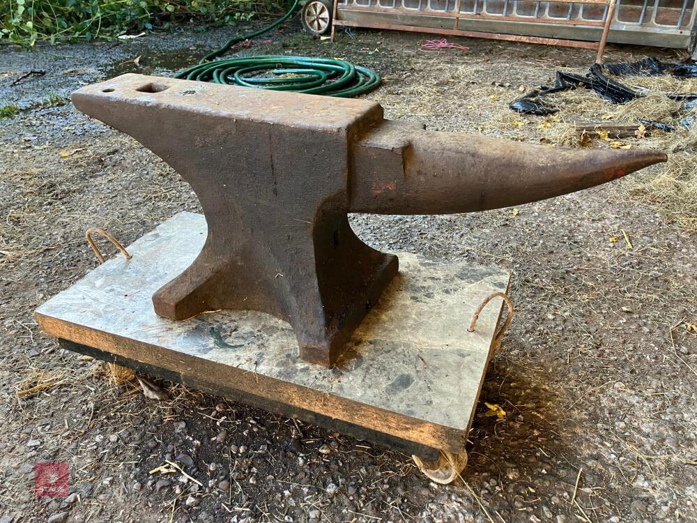 33'' ANVIL