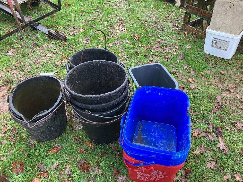 12 MIXED BUCKETS