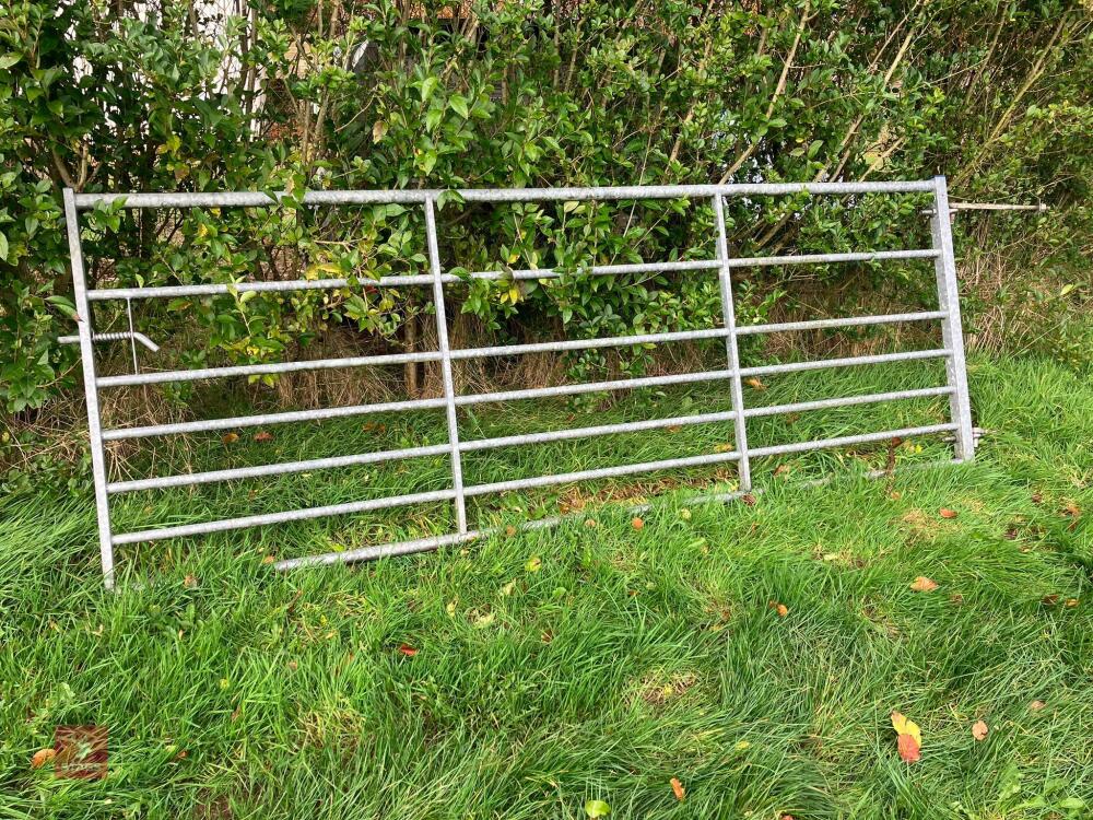 10' IAE GALVANISED FIELD GATE