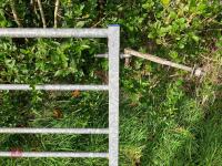 10' IAE GALVANISED FIELD GATE - 3