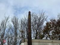 13' 10'' TIMBER FLAG POLE - 5