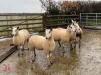 5 BFL EWES BIDS PER LIFE - 3