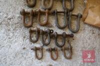 SELECTION OF 'D' & BOW SHACKLES - 3