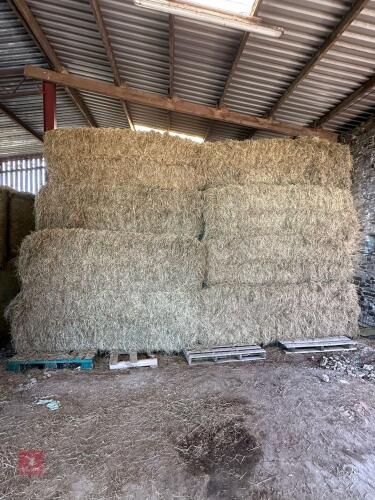 60 LARGE BALES OF HAY BIDS PER BALE