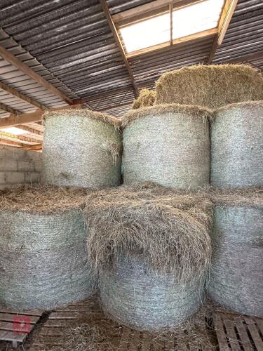 50 ROUND BALES OF HAY BIDS PER BALE