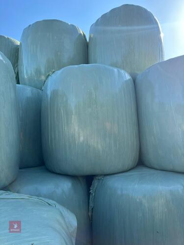 50 ROUND BALES OF HAYLAGE BIDS PER BALE