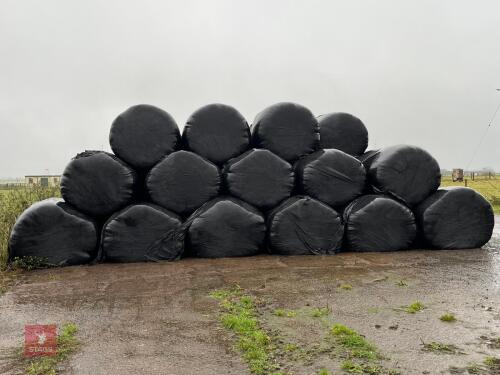 50 ROUND BALES OF SILAGE BIDS PER BALE