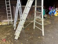 ALUMINIUM EXTENDING LADDERS ETC - 8