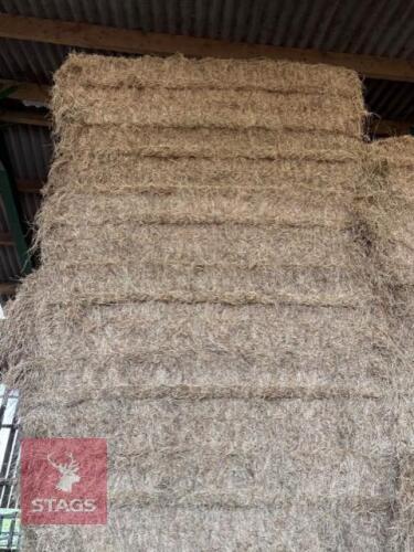 100 BALES OF HAY BIDS PER BALE