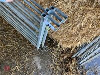 3 BATEMAN 6' GALVANISED HURDLES (44) - 5
