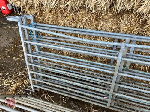 5 X 6' GALVANISED HURDLES (46)