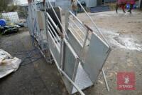 RITCHIE COMBI CLAMP & ELECTRIC WEIGHER - 5