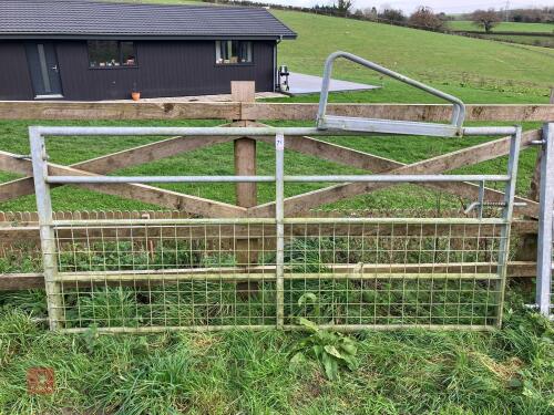 8' 1'' GALVANISED MESH GATE (71)