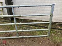 JOURDAIN EXPANDABLE GALV GATE (121) *Late Reserve Added - 2