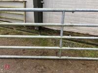 JOURDAIN EXPANDABLE GALV GATE (121) *Late Reserve Added - 3
