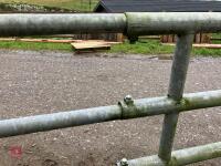 JOURDAIN EXPANDABLE GALV GATE (121) *Late Reserve Added - 10