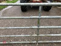 JOURDAIN HD EXPANDABLE LATCHED GALV GATE (137) *Late Reserve Added - 14