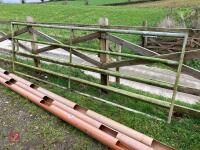 11' 6'' GALVANISED YARD GATE (145)