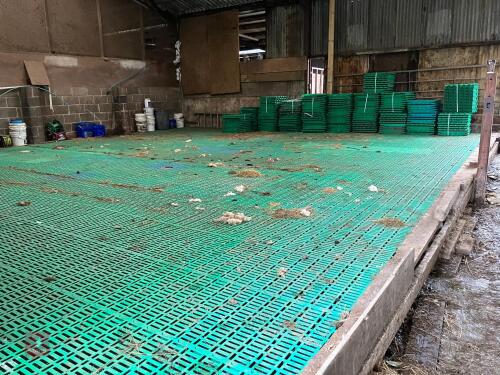 36' X 30' SLATTED SHEEP FLOOR (181)