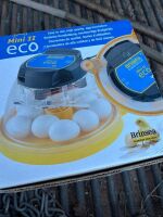 MINI ECO EGG INCUBATOR