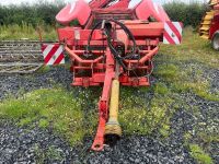 GRIMME GZ1700 POTATO HARVESTER - 4