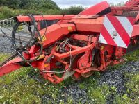 GRIMME GZ1700 POTATO HARVESTER - 26