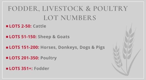 SOUTH WEST SALE LOT CATEGORIES